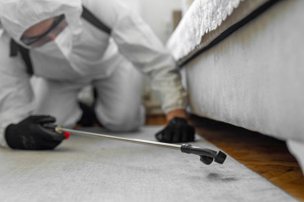 Professional Bed Bug Control technician working in Stratford, WI
