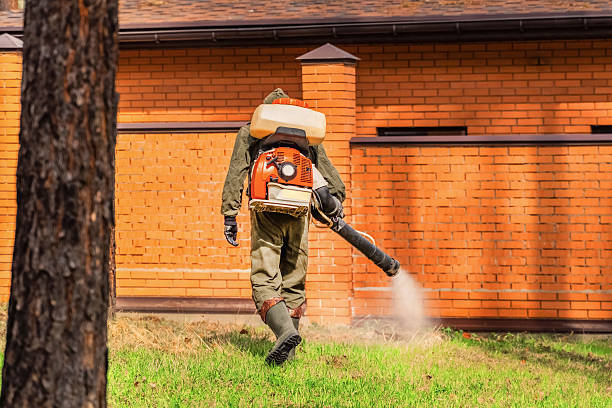 Trusted Rodent Control service in Stratford, WI - Nex Pest Control